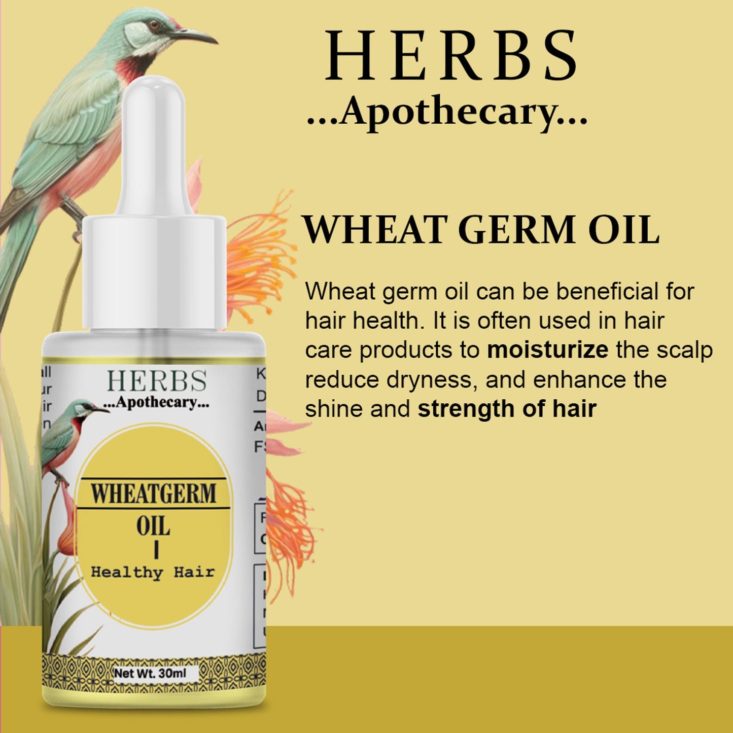 Zenvista Herbs Apothecary Wheatgerm Oil For Hair