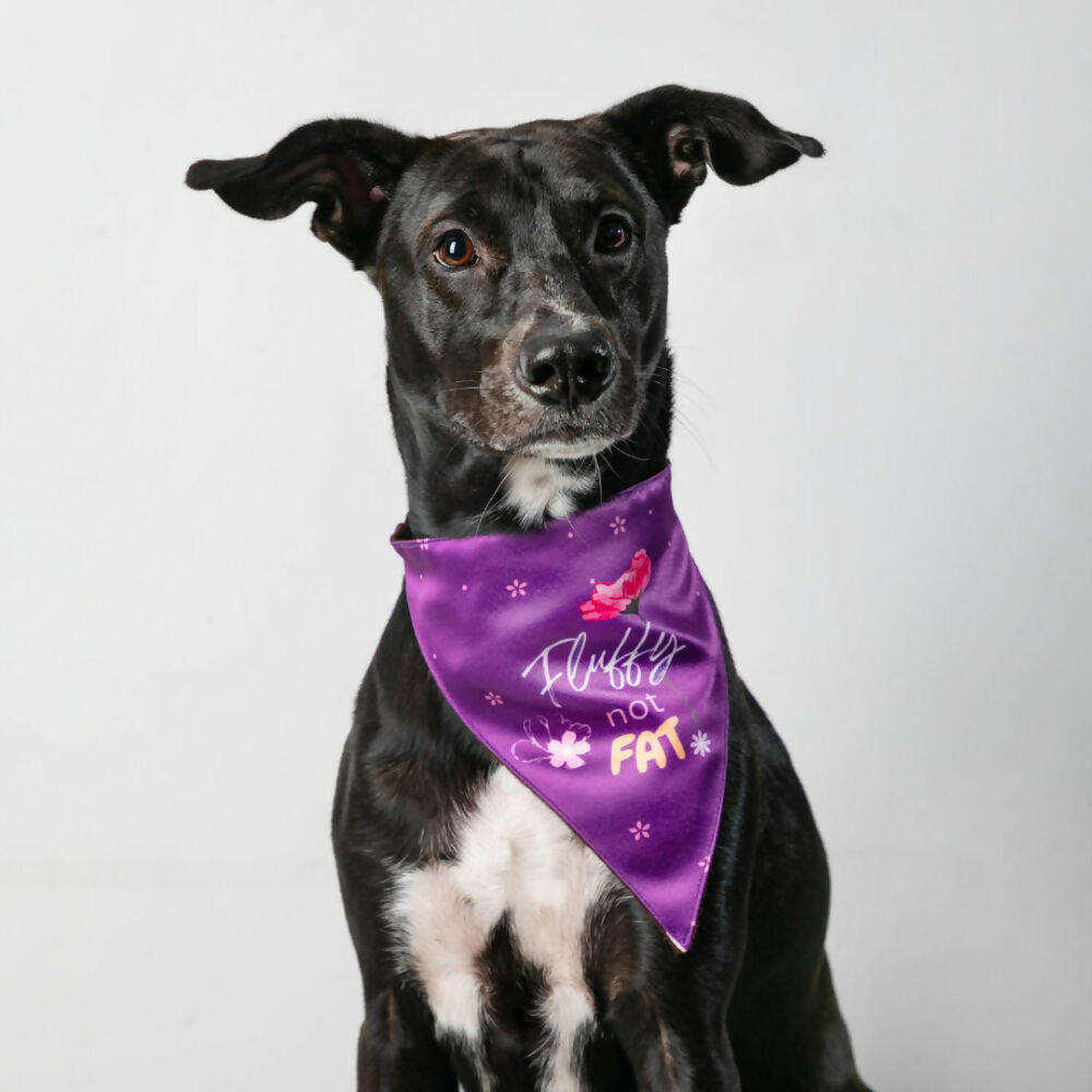 Waggety Dog Bandana - Fluffy Not Fat, Design Soft Fabric, Stylish Pet Accessory for Dogs - Purple
