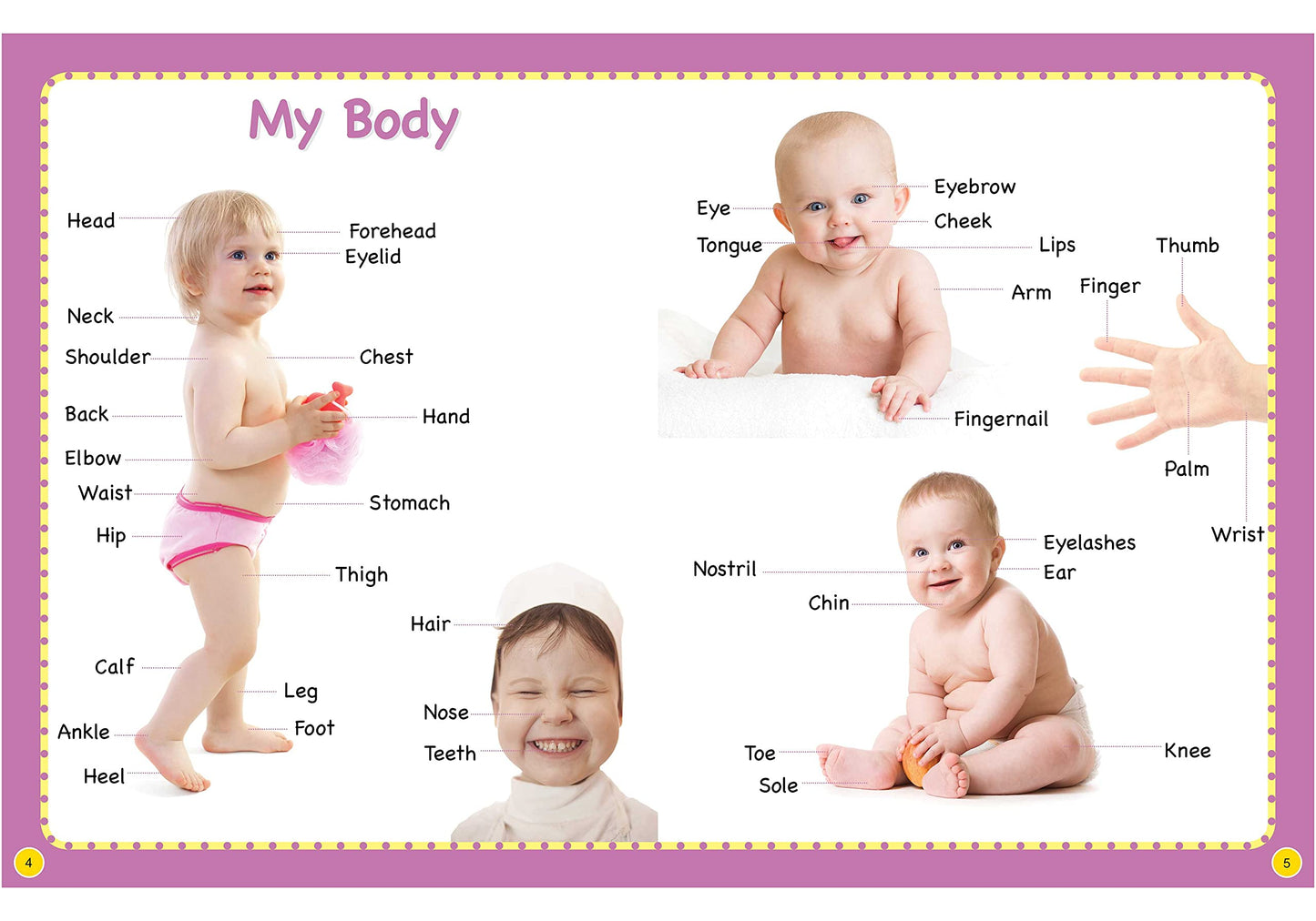 My First 1000 Words Board Book