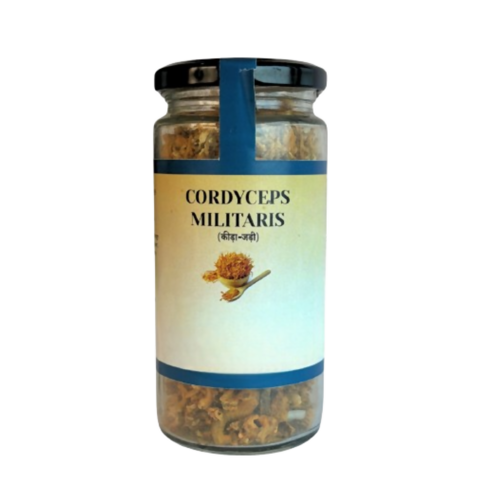 The Mush Supply Agro Farms Cordyceps Dried Fruiting Body