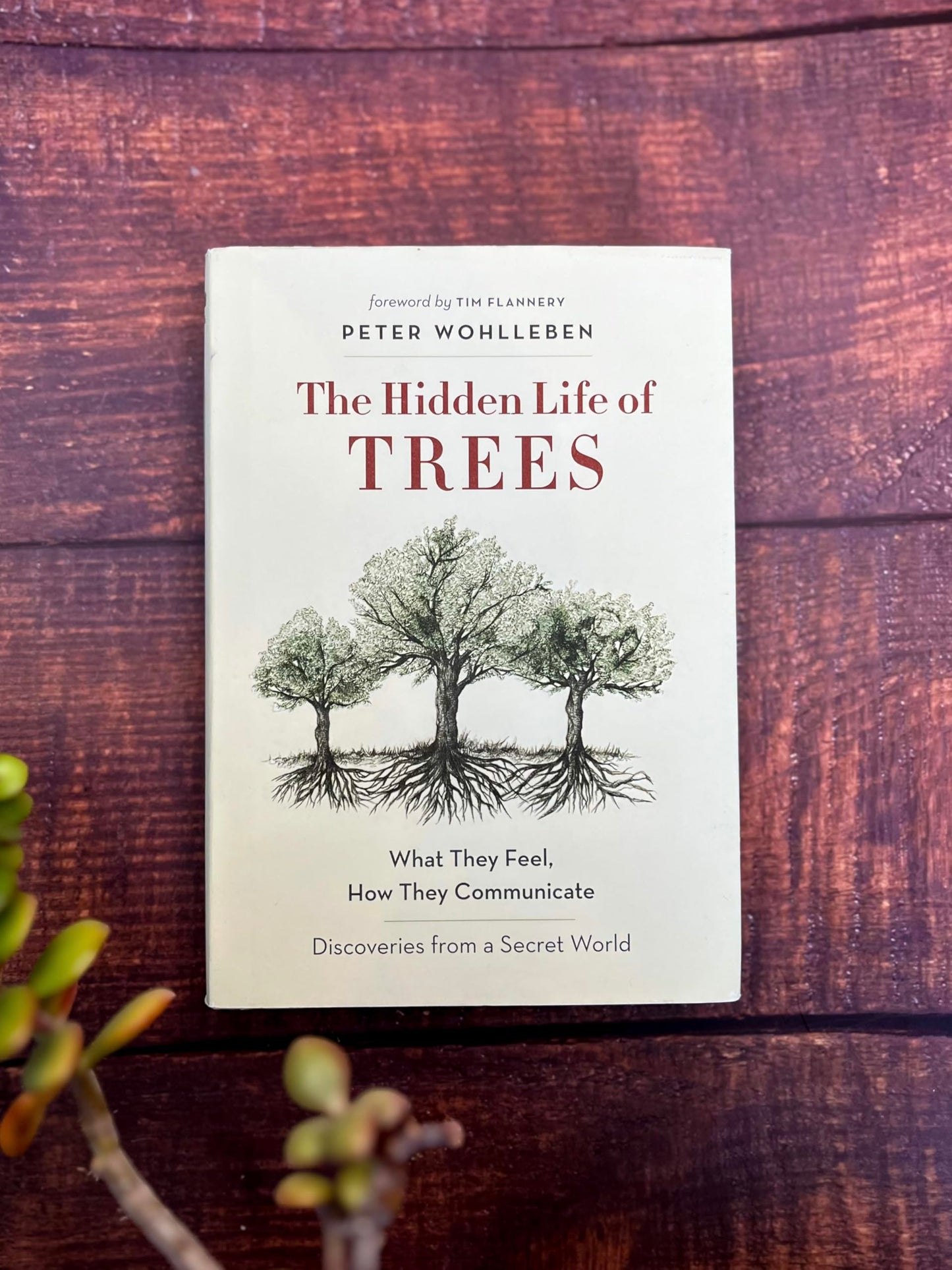 The Hidden Life of Trees: What They Feel, How They Communicate?Discoveries from A Secret World (The Mysteries of Nature, 1)