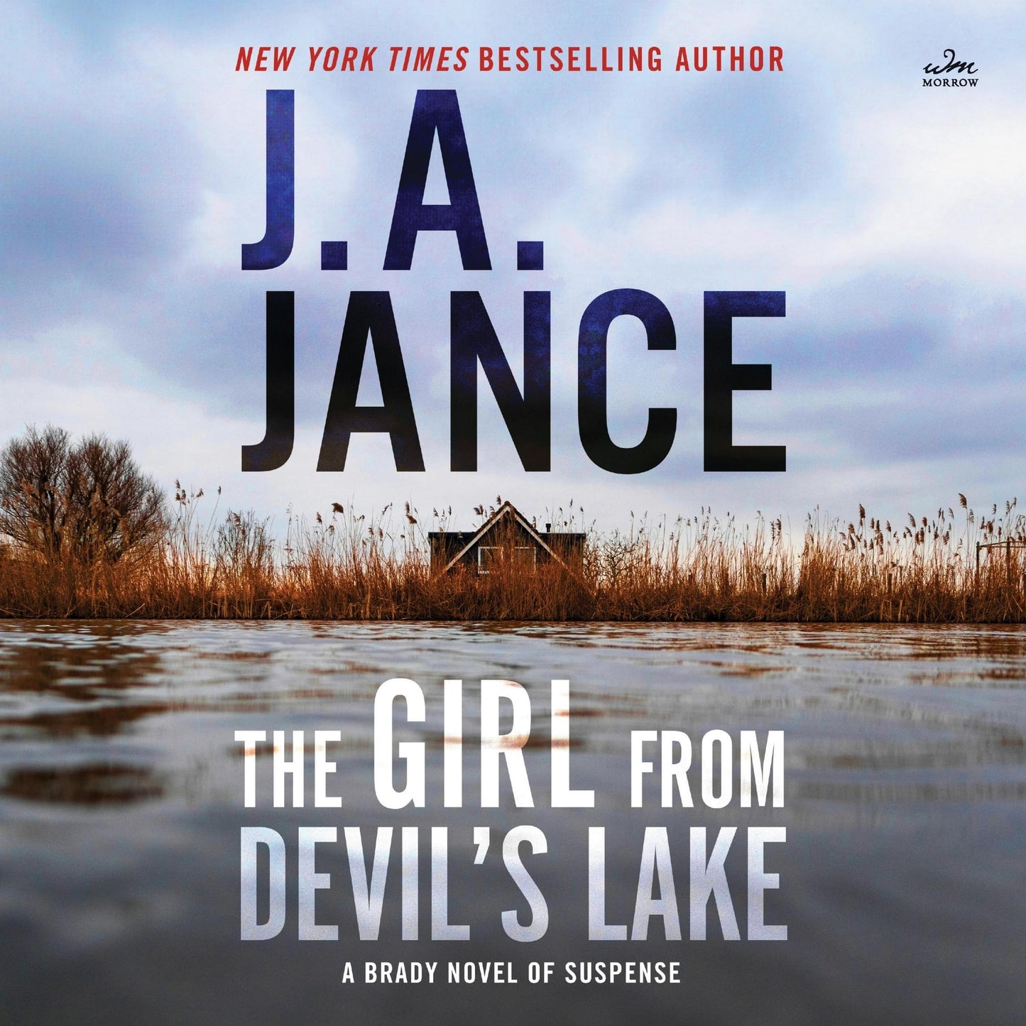 The Girl from Devil's Lake: A Brady Novel of Suspense (The Joanna Brady Mysteries)