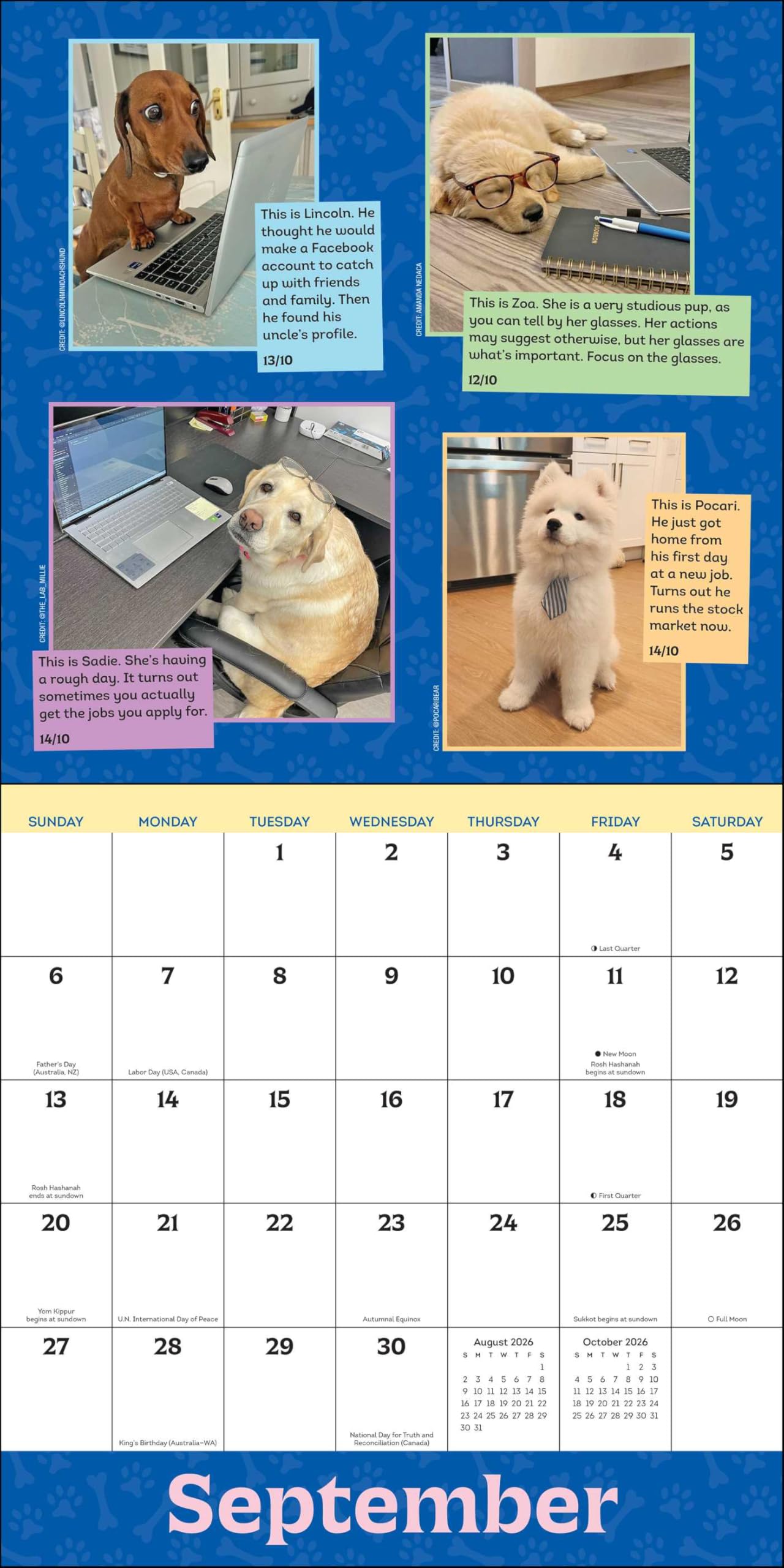 WeRateDogs 2026 Wall Calendar