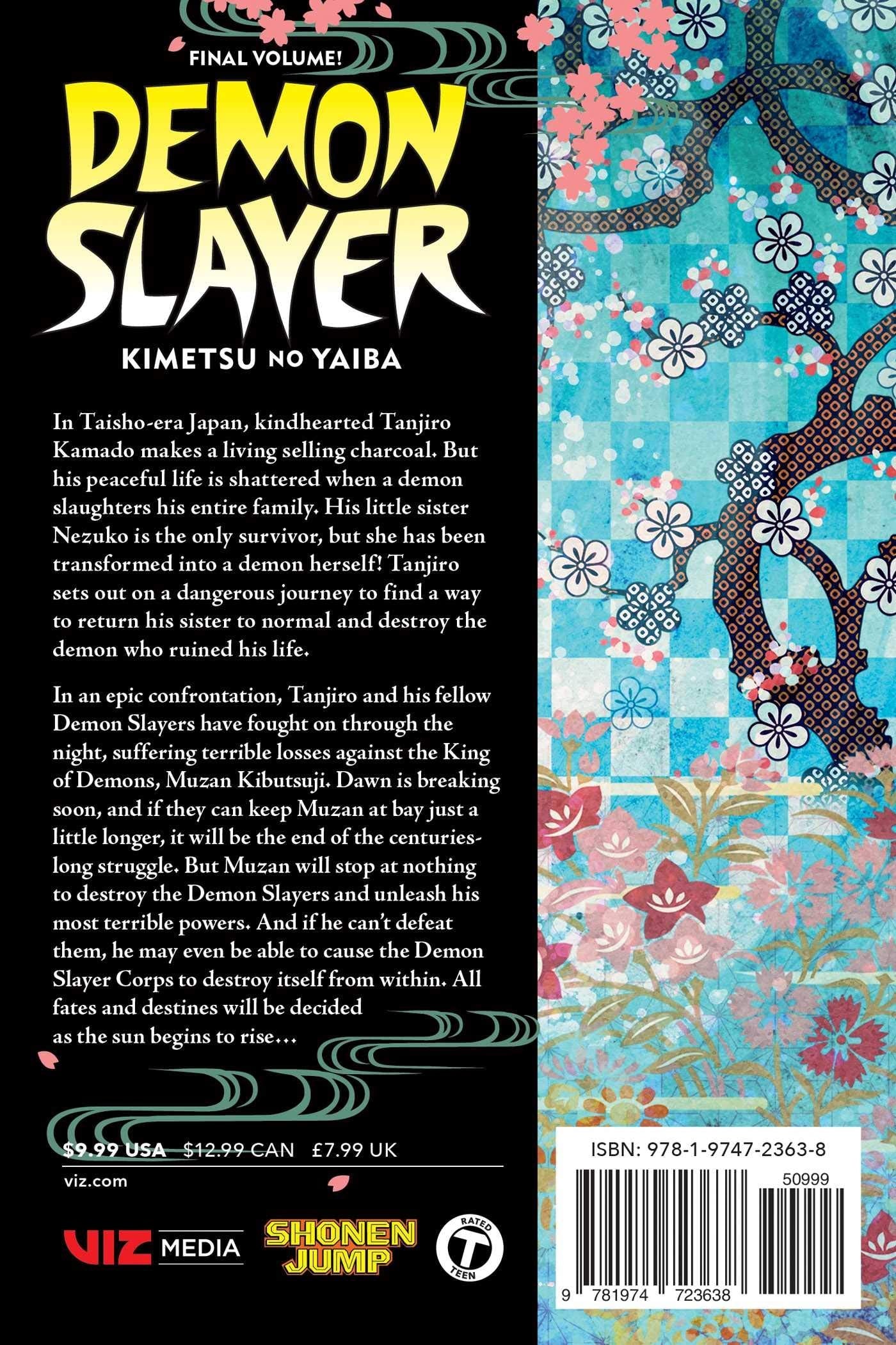 Demon Slayer: Kimetsu no Yaiba, (Volume 23)