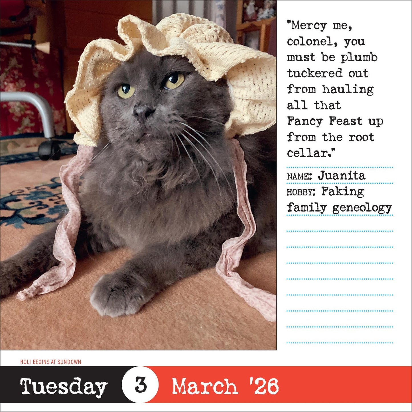 Bad Cat Page-A-Day® Calendar 2026: 365 Not-So-Pretty Kitties