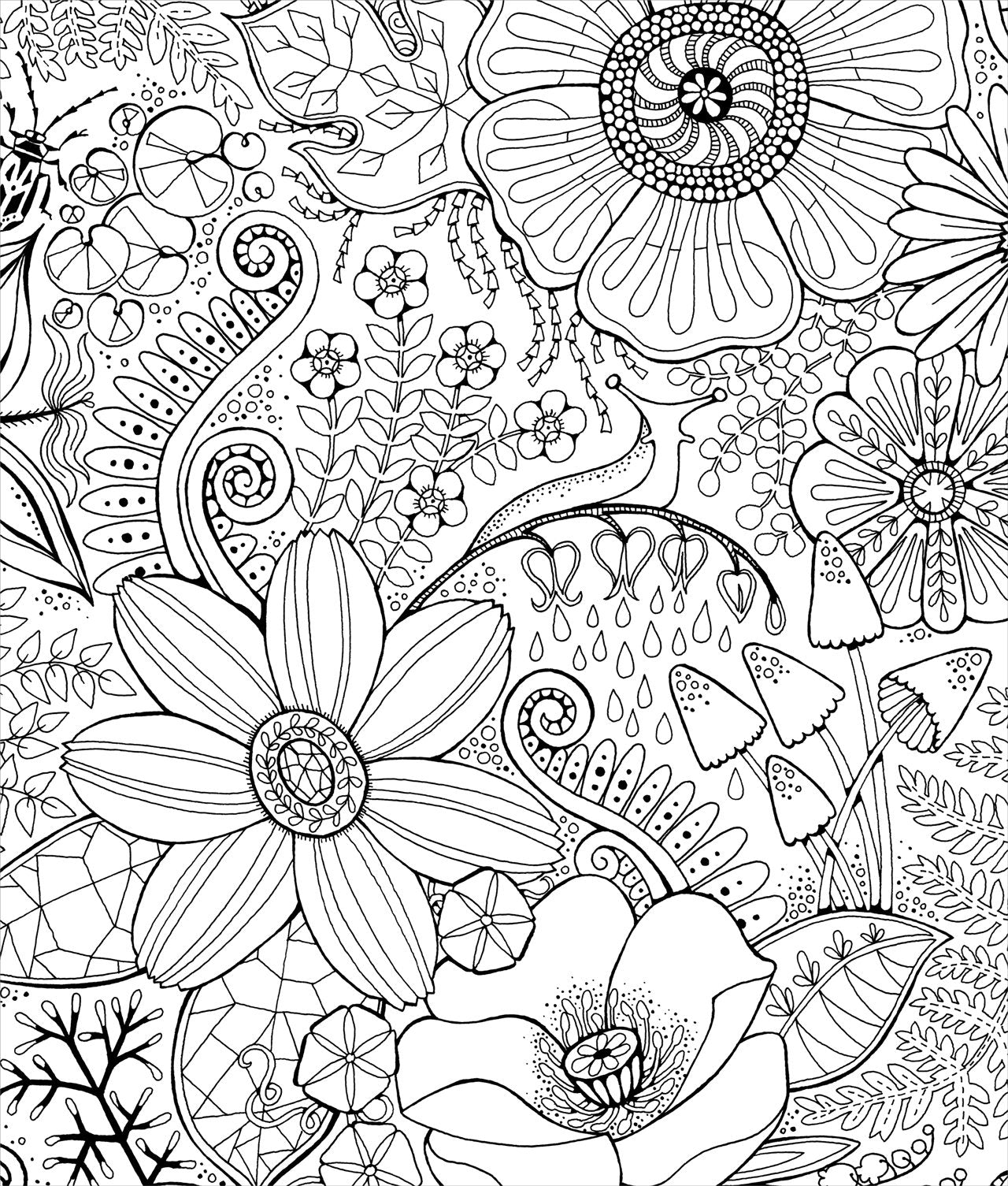 Color & Frame - In the Forest (Adult Coloring Book)