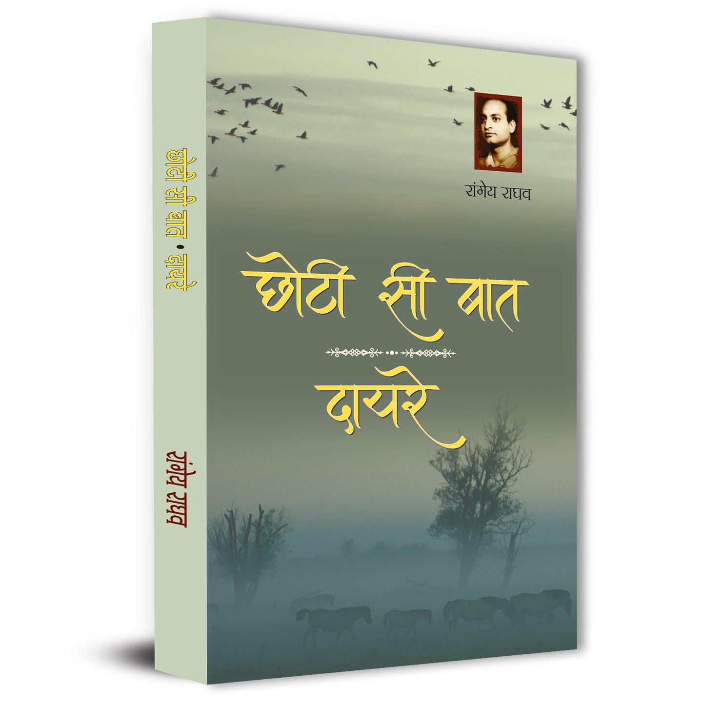 Chhoti Si Baat | Dayre By Rangeya Ragahv | A Thought-Provoking Hindi Novel On Human Emotions, Society And Personal Struggles | Philosophical And Social Literature Book In Hindi-Rangeya Raghav