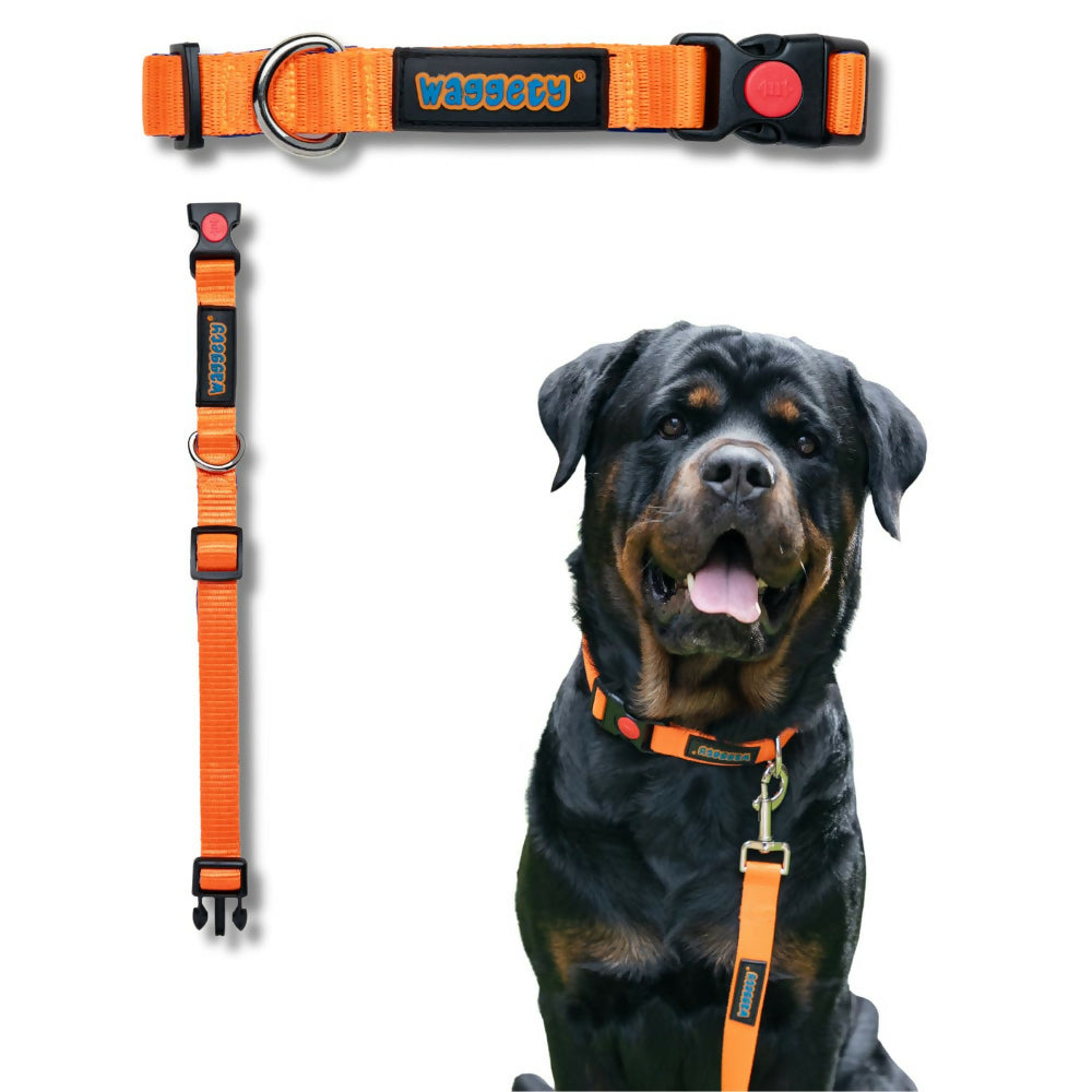 Waggety Padded Dog Collar - Adjustable, Comfortable Fit, Durable Polyester - Orange