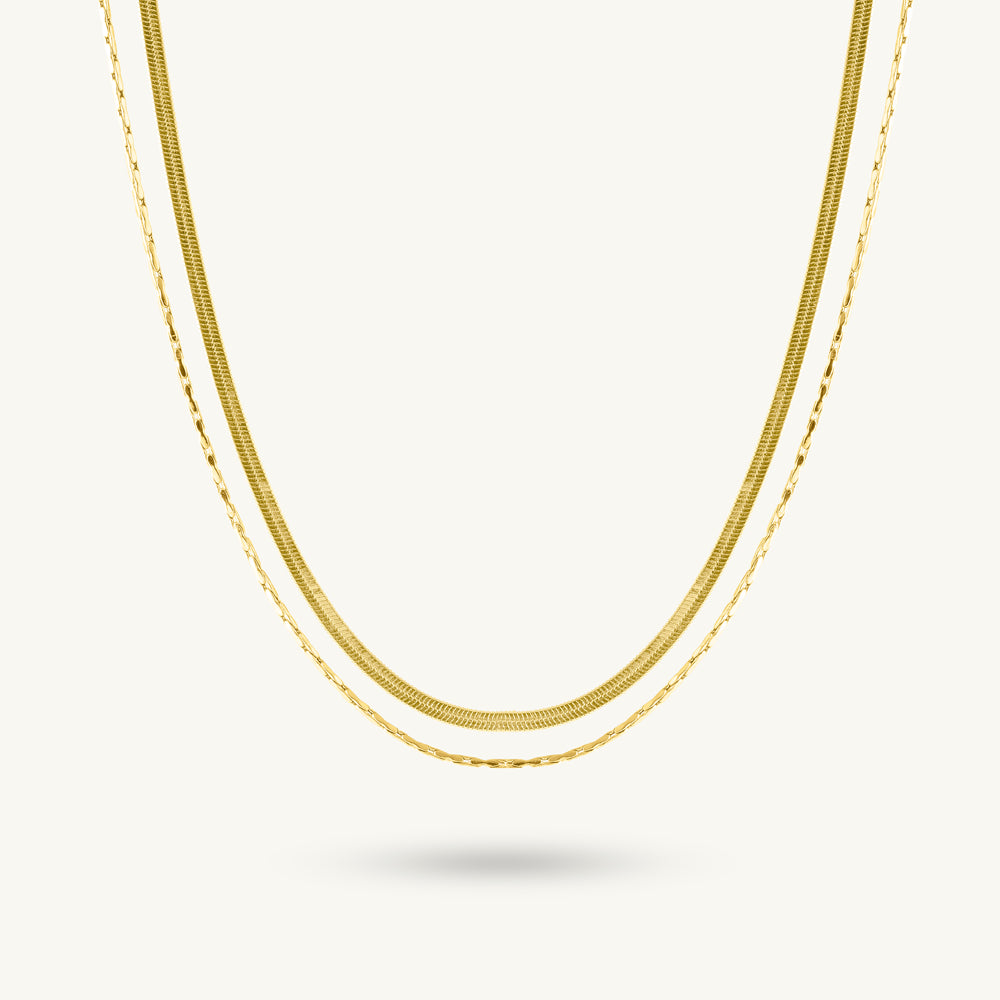 Sleek Dual Chain Layered Necklace