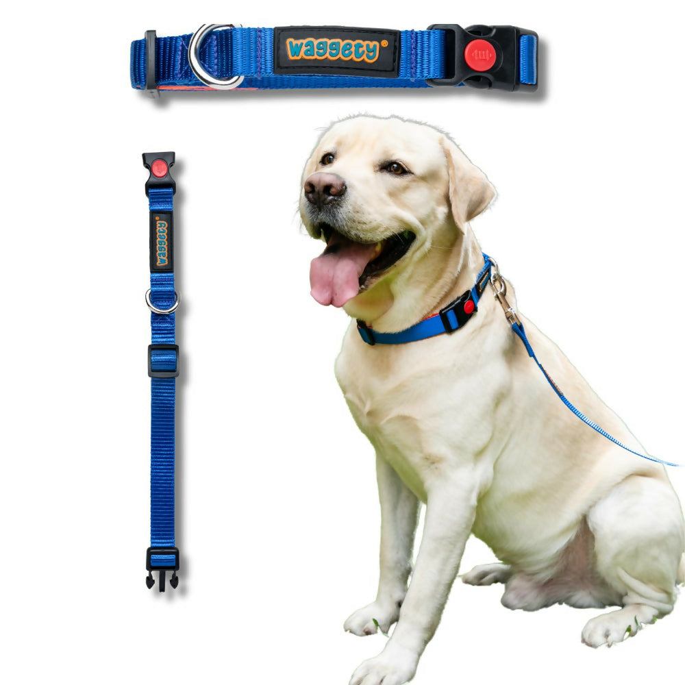 Waggety Padded Dog Collar - Adjustable, Comfortable Fit, Durable Polyester - Blue
