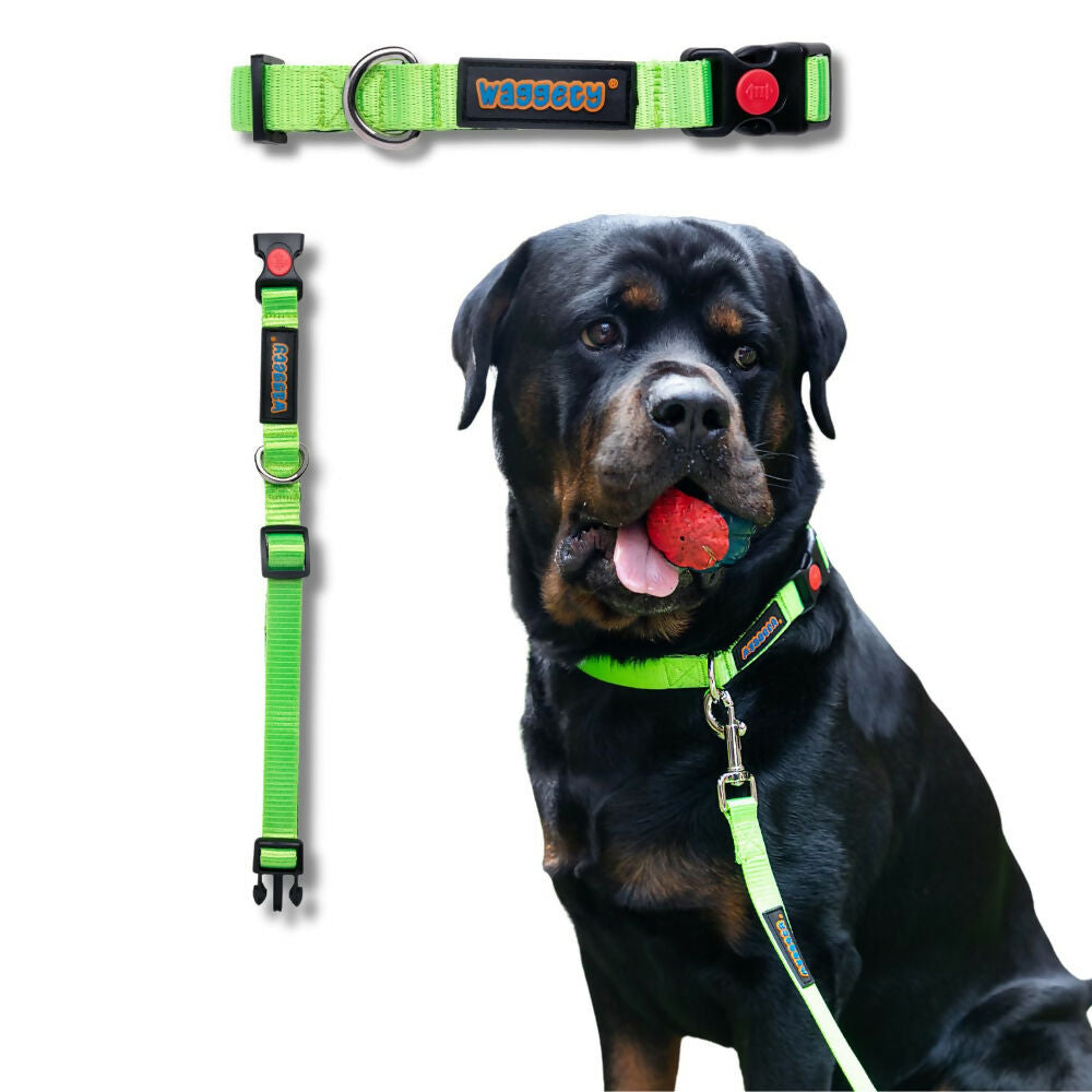 Waggety Padded Dog Collar - Adjustable, Comfortable Fit, Durable Polyester - Green