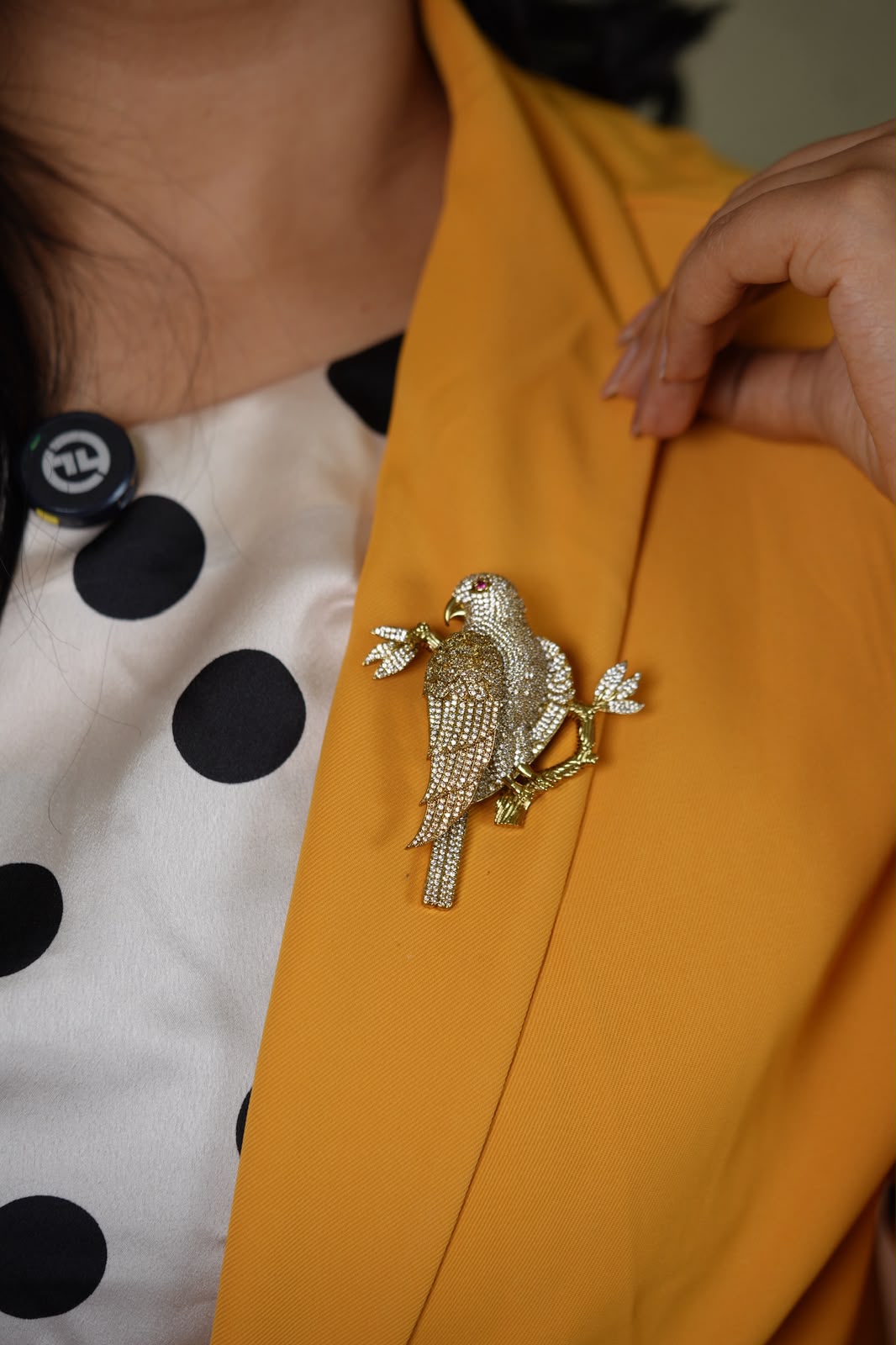 Royal Bird Diamond Designer Oversizes Brooch | Unisex