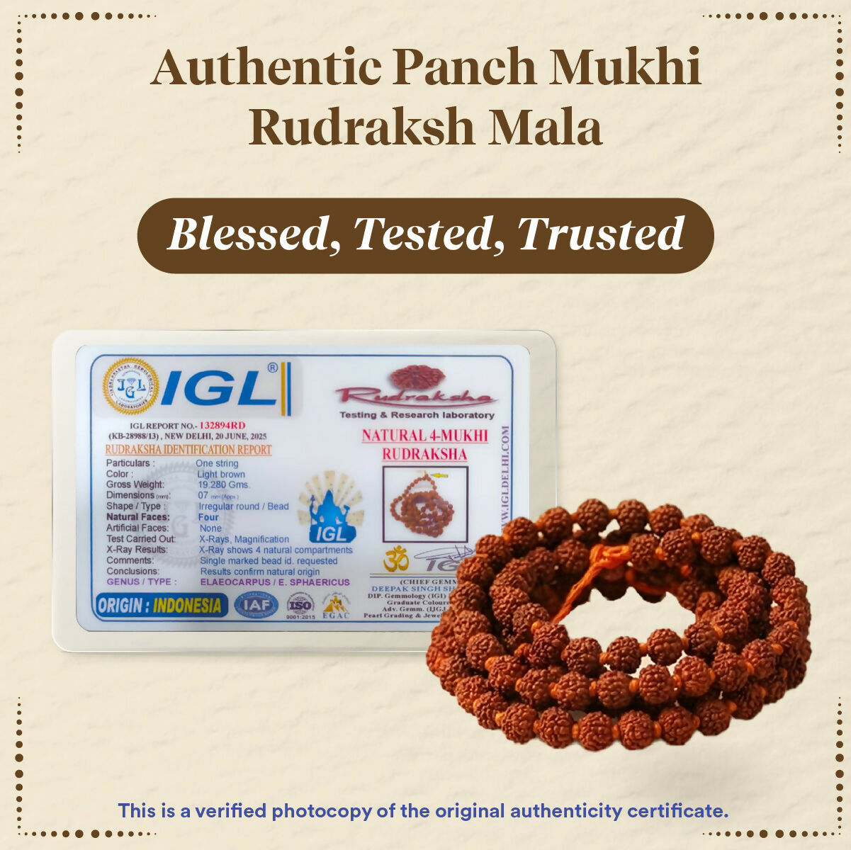 Pujashree Rudraksh Mala Small 8mm Sacred Prayer Beads for Meditation, Chanting & Spiritual Wear