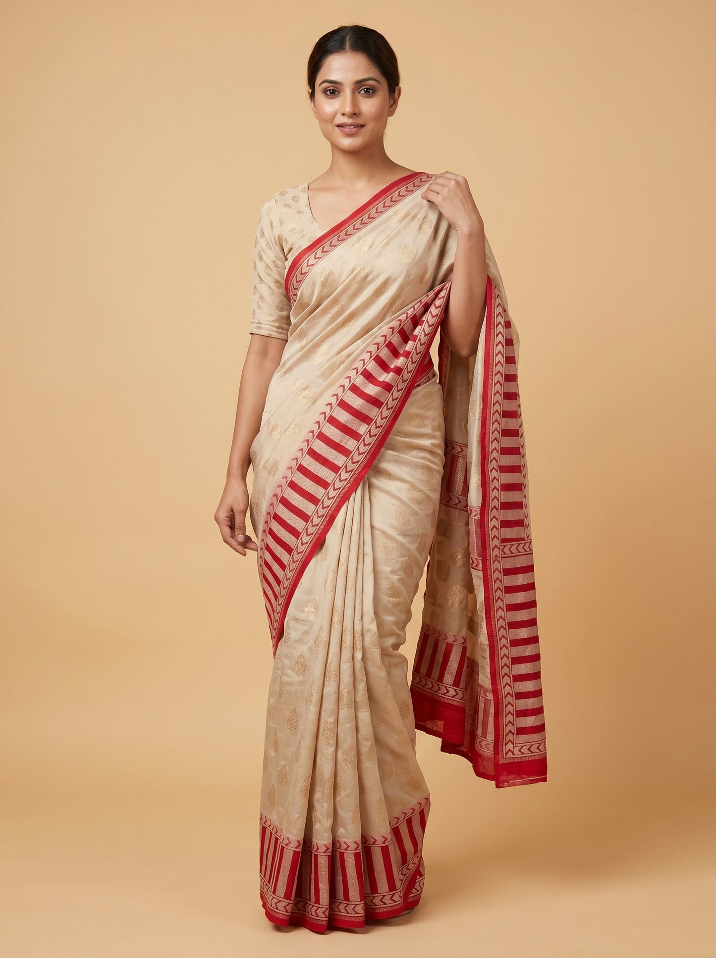 Coral Warm Detail Embroidered Saree