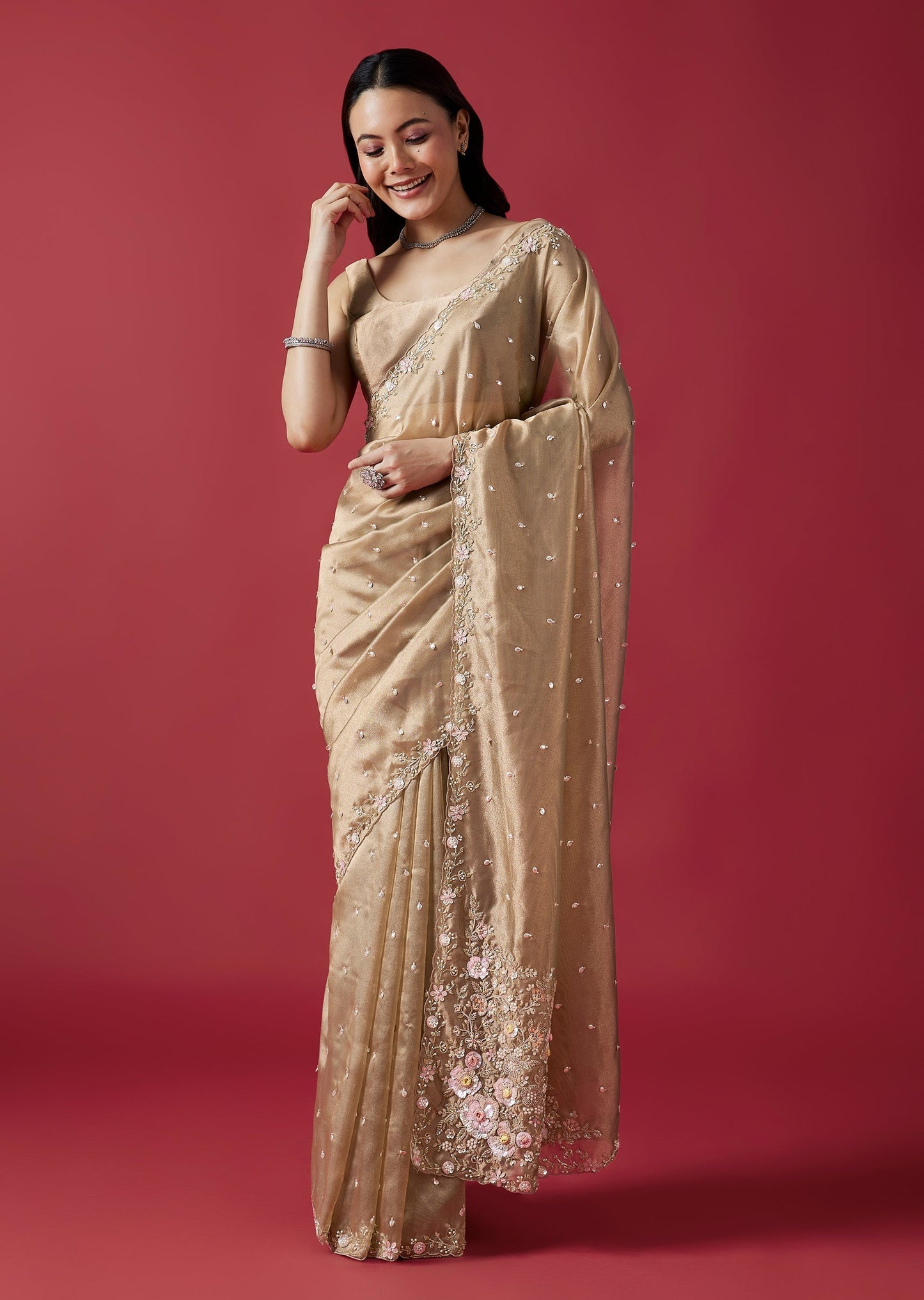 Dusky Beige Embroidered Tissue Saree With Cutwork Border