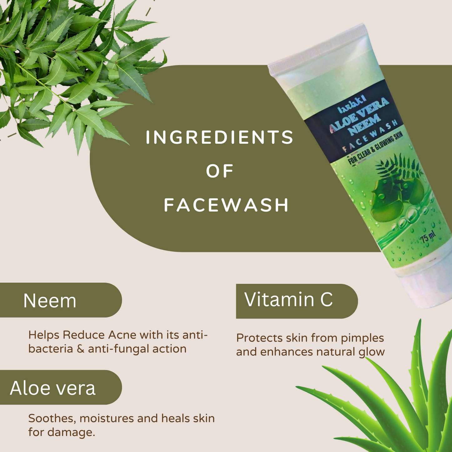 Arlak Aloe Vera Neem Face Wash Gel