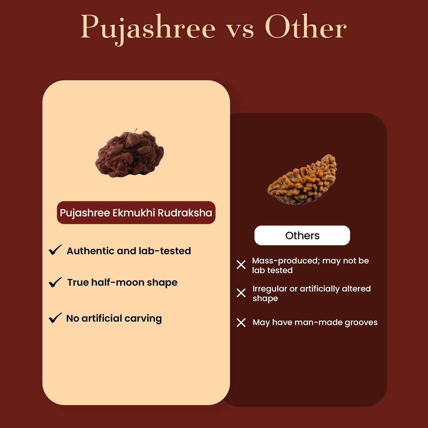Pujashree Ek Mukhi Rudraksh Sacred One Mukhi Rudraksha for Lord Shiva Blessings, Peace & Spiritual Growth