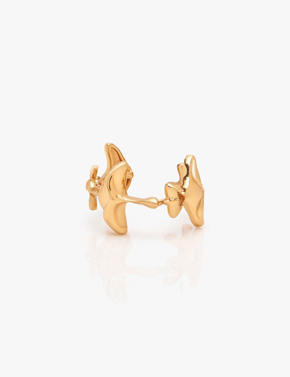 The Shroom Ring