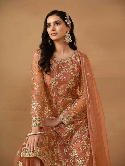 Anaita Brown Embroidered Net Salwar Suit