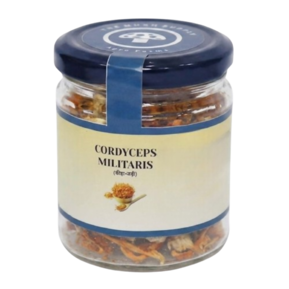 The Mush Supply Agro Farms Cordyceps Dried Fruiting Body