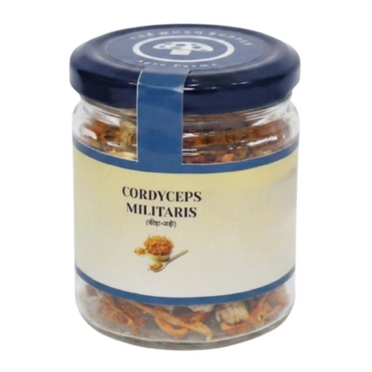 The Mush Supply Agro Farms Cordyceps Dried Fruiting Body