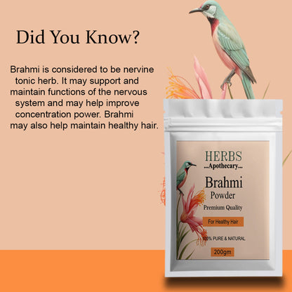Zenvista Herbs Apothecary Brahmi Powder For Hair