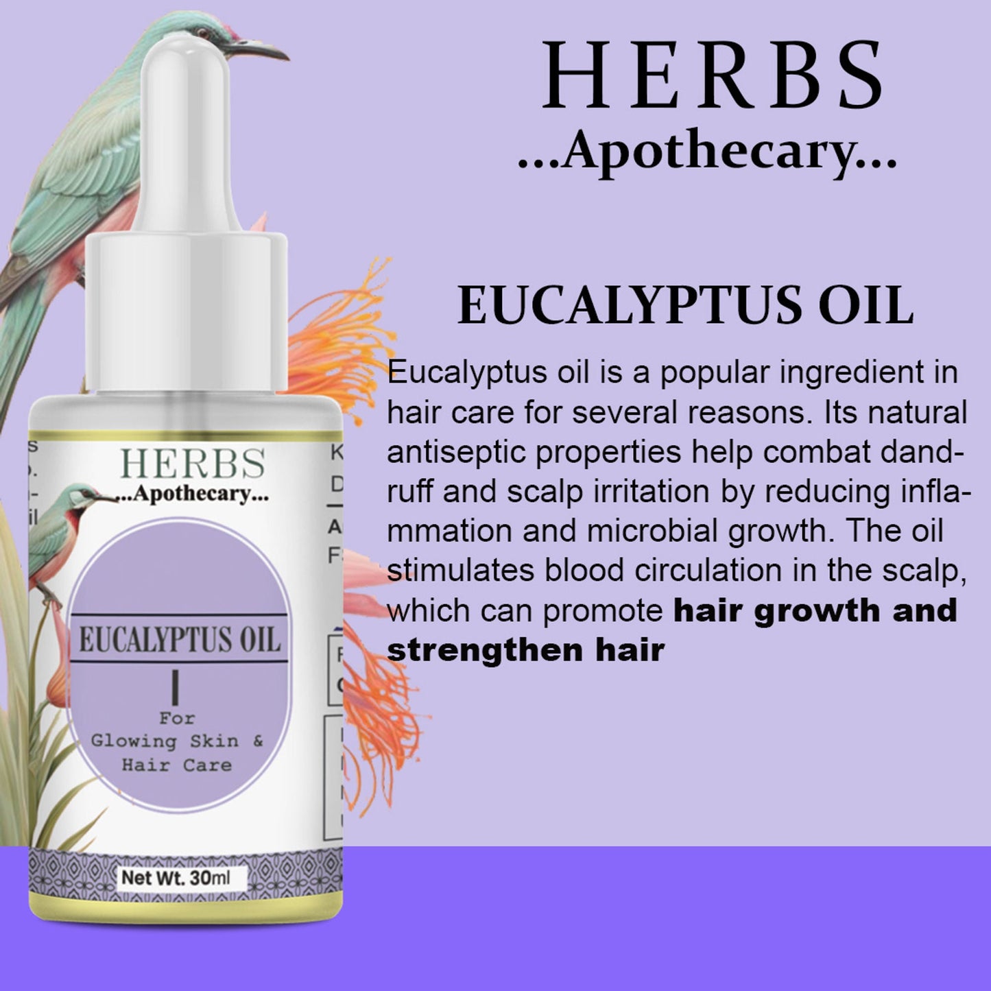 Zenvista Herbs Apothecary Eucalyptus Oil For Skin & Hair Care
