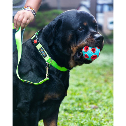 Waggety Dog Leash - Durable Green Polyester, Length - 5Ft, Comfortable Grip, Stylish Pet Leash for Dogs