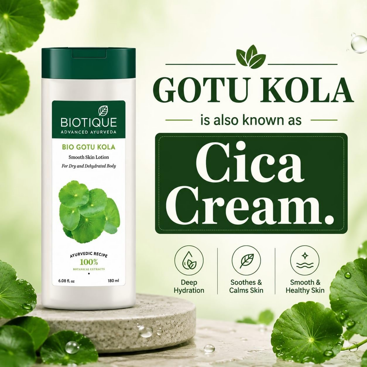 Biotique Bio Gotu Kola Smooth Skin Lotion For Dry and Dehydrated Body