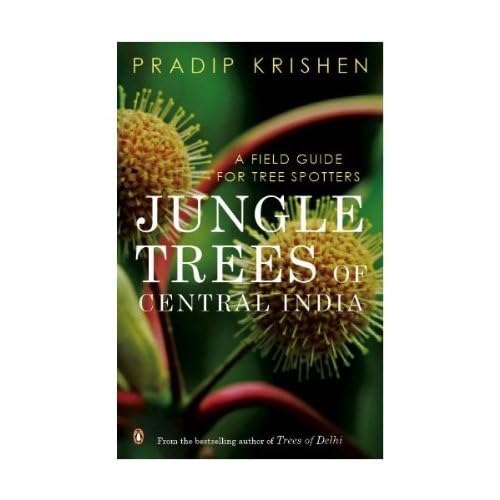jungle-trees-central-india