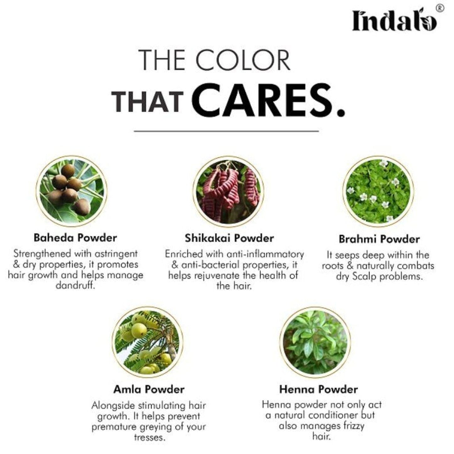 Indalo Ammonia-Free Vibrant Brown Hair Color With Natural Ingredients - Brown