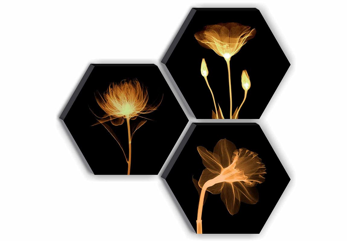 Wall Painting Floral MDF Set of 3 Hexagon 17 Inch Brown Textured