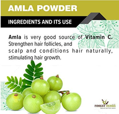Natural Herbal Hair Pack with Amla, Reetha, Shikakai & Hibiscus - 100G Each, 5 Count