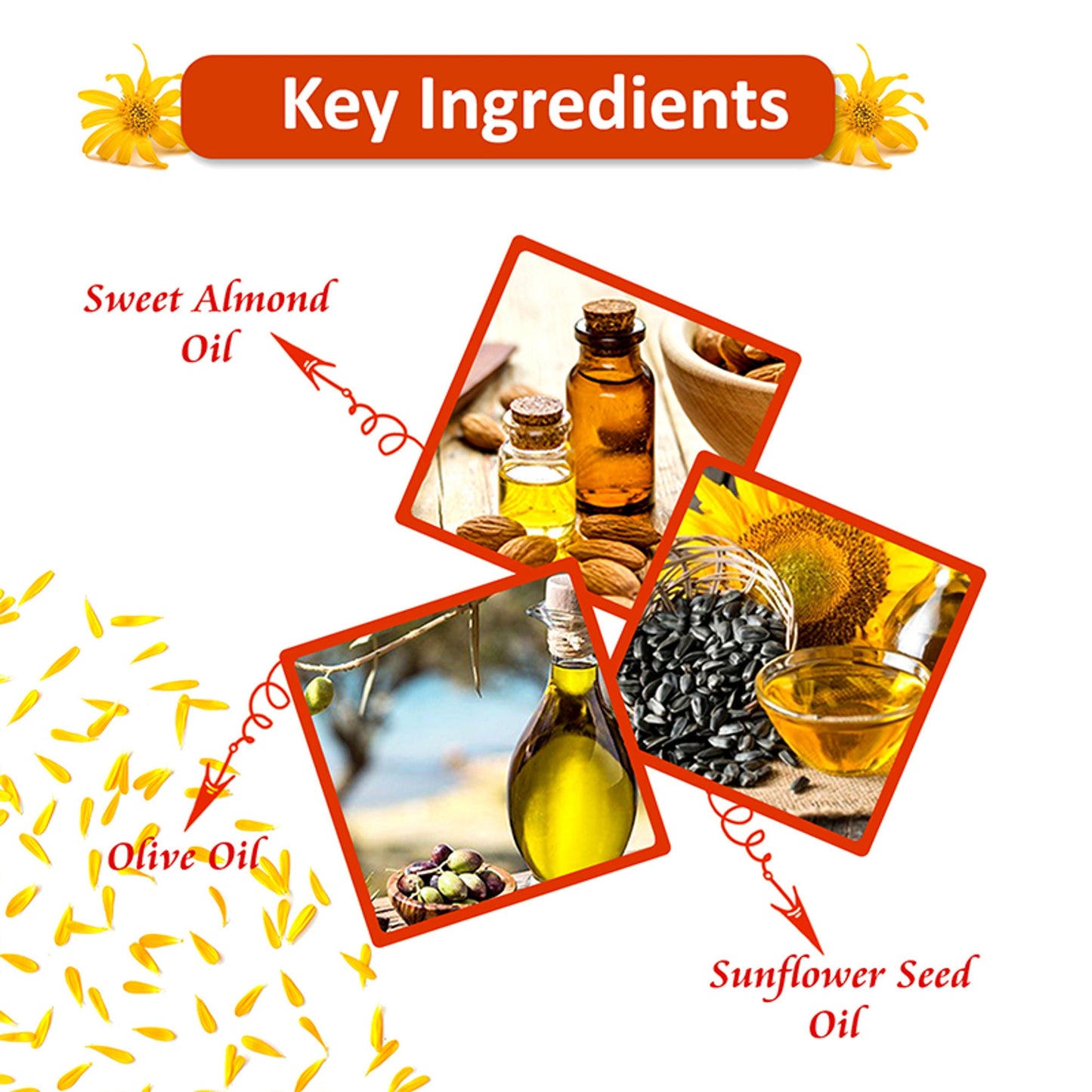 Omeo Arnica Hair Oil With Amla & Almond Oil Extract