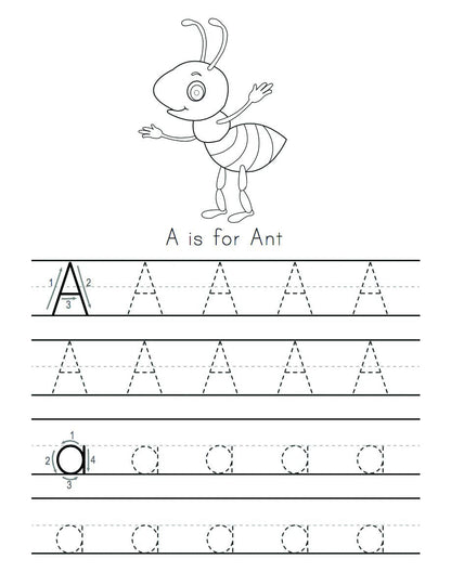 Trace Letters: Alphabet Handwriting Practice workbook for kids: Preschool writing Workbook with Sight words for Pre K, Kindergarten and Kids Ages 3-5. ... Words & Math for Preschool & Kindergarten) 