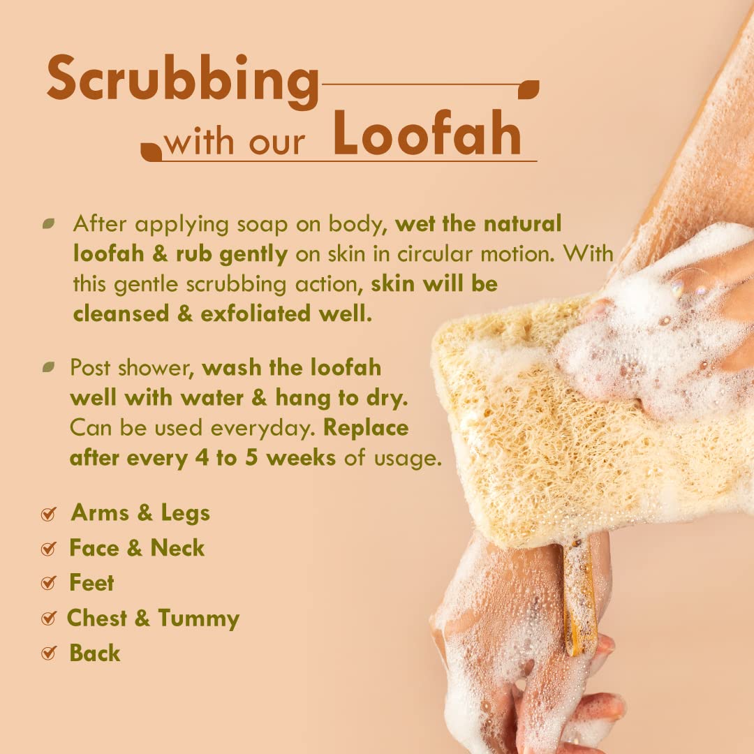Natural Sun Dried Bath Loofah | Organic Luffa Exfoliator (2 Pack)