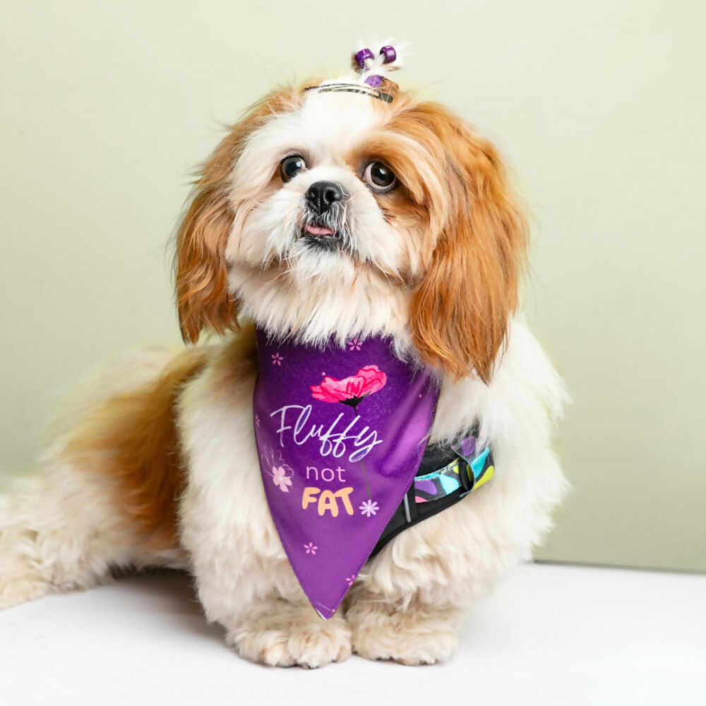 Waggety Dog Bandana - Fluffy Not Fat, Design Soft Fabric, Stylish Pet Accessory for Dogs - Purple
