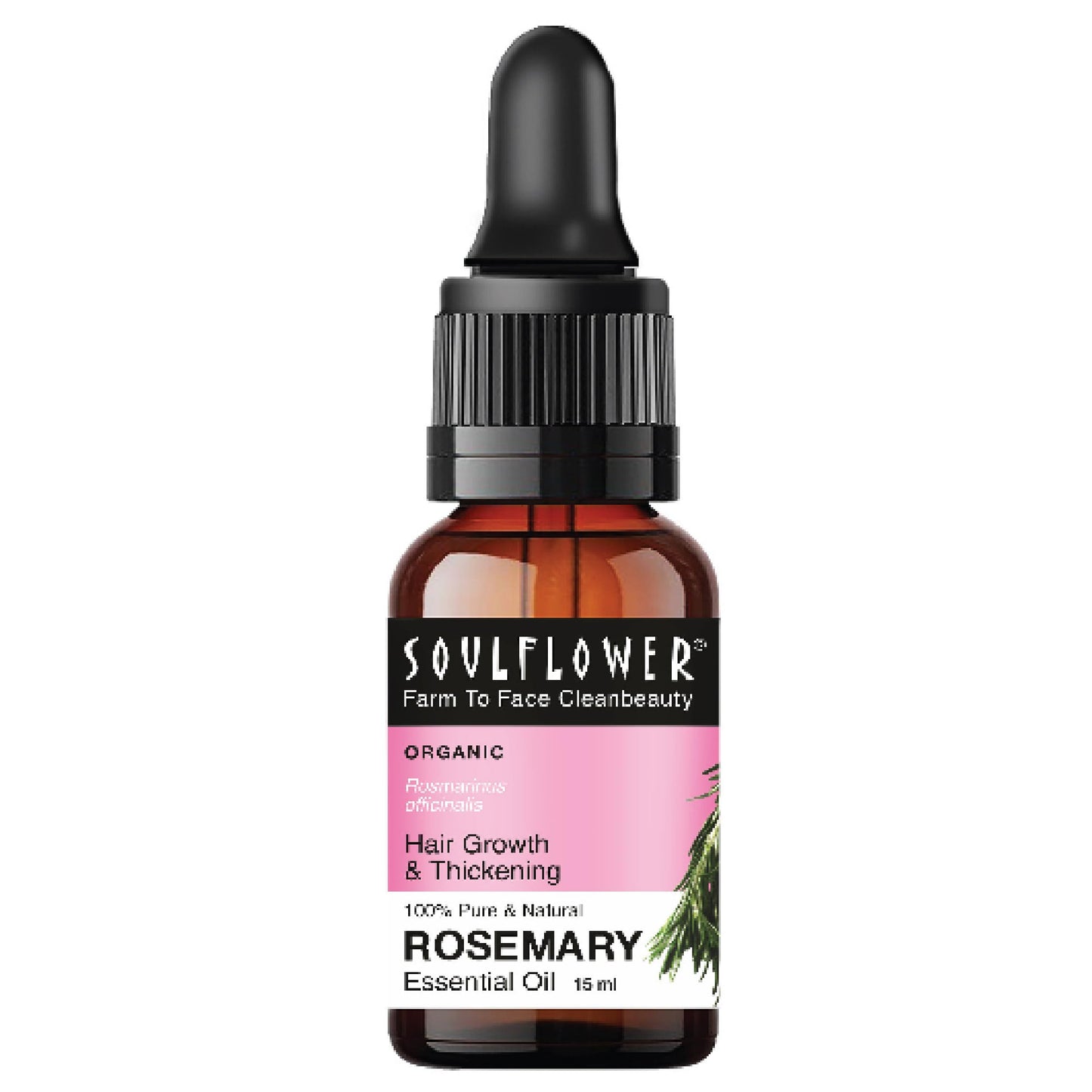Rosemary Essential Oil for Hair Growth & Skin Care | 15ml