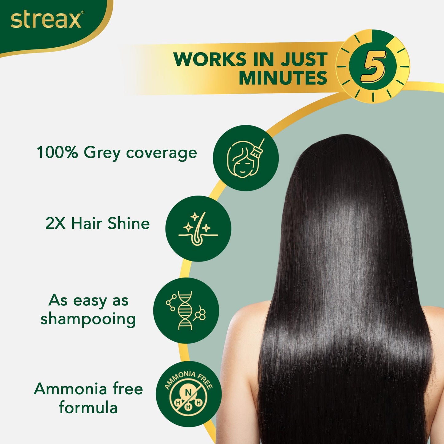Insta Shampoo Hair Color Natural Black - 5 Pack, Quick Gray Coverage