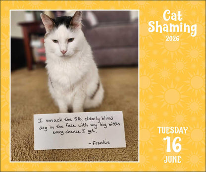 Cat Shaming 2026 Day-to-Day Calendar