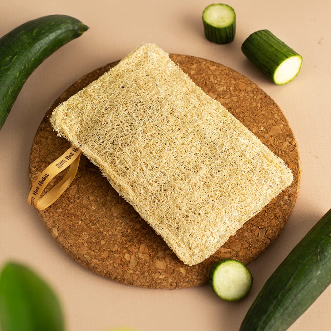 Natural Sun Dried Bath Loofah | Organic Luffa Exfoliator (2 Pack)
