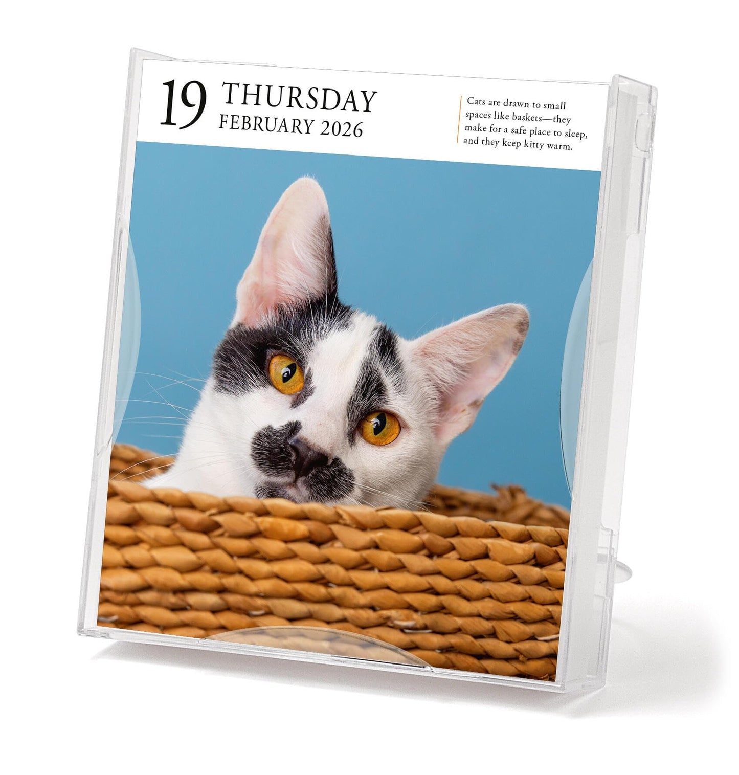 Cat Page-A-Day® Gallery Calendar 2026: A Delightful Gallery of Cats for Your Desktop