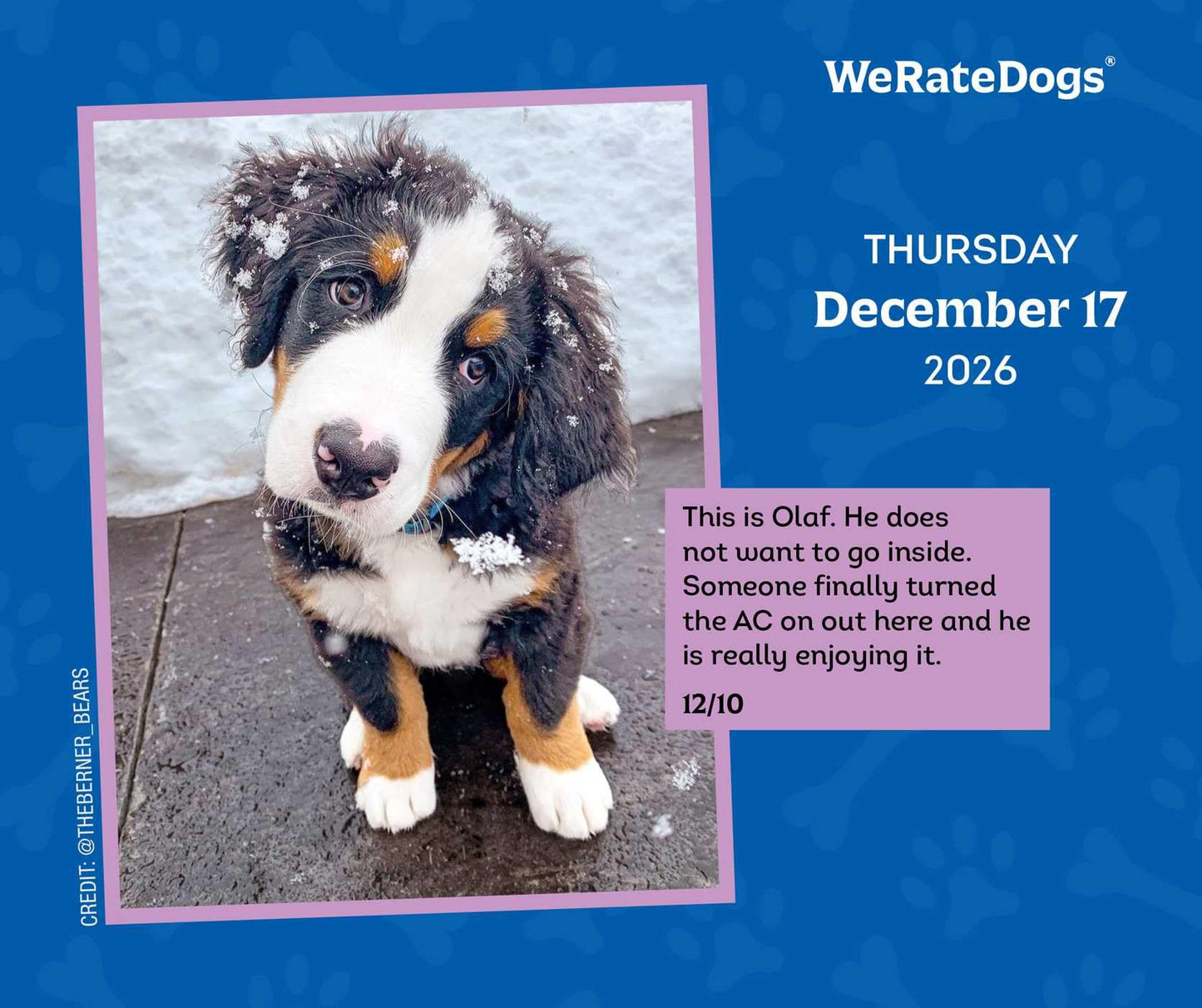 WeRateDogs 2026 Day-to-Day Calendar