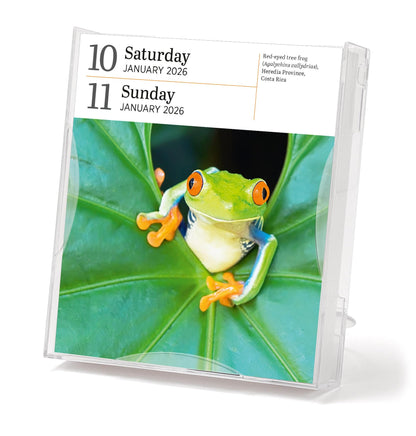 Audubon Nature Page-A-Day® Gallery Calendar 2026 