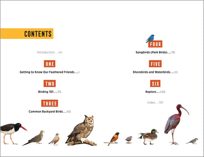 North American Bird Watching for Beginners: Field Notes on 150 Species to Start Your Birding Adventures (Bird Watching Adventures) 