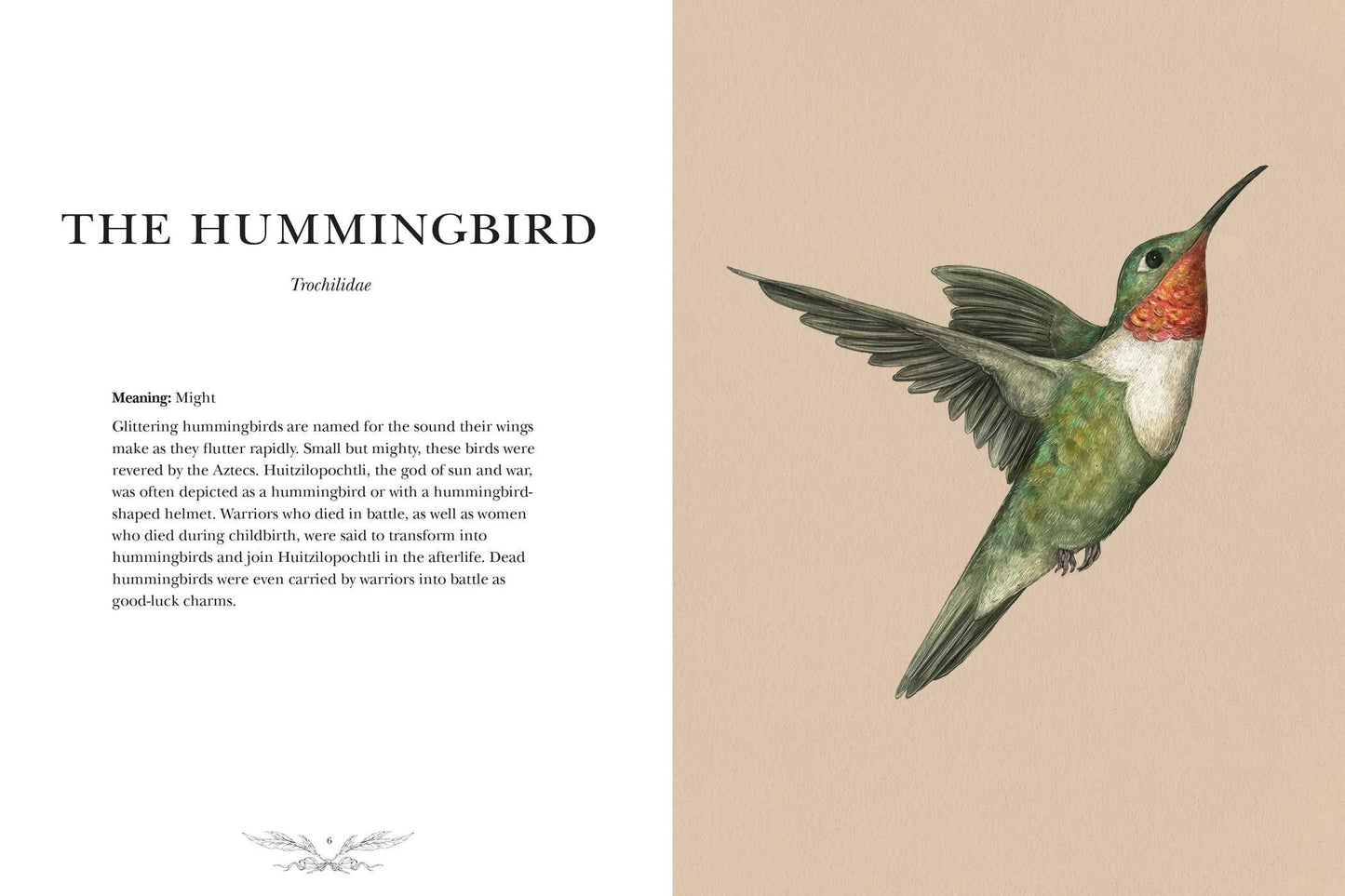 Ornithography: An Illustrated Guide to Bird Lore & Symbolism (Volume 2) (Hidden Languages)