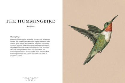 Ornithography: An Illustrated Guide to Bird Lore & Symbolism (Volume 2) (Hidden Languages)