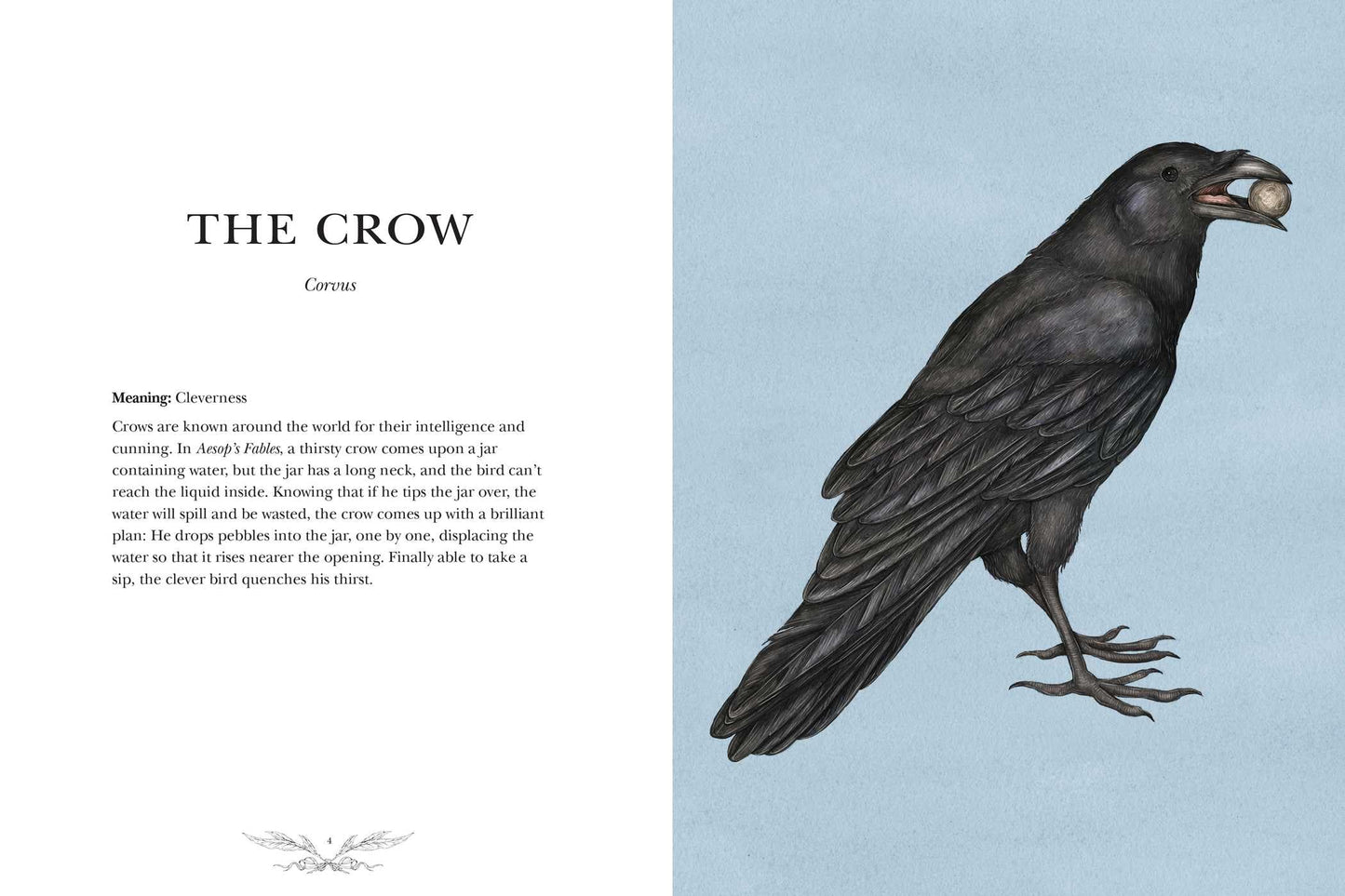 Ornithography: An Illustrated Guide to Bird Lore & Symbolism (Volume 2) (Hidden Languages)