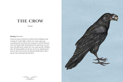 Ornithography: An Illustrated Guide to Bird Lore & Symbolism (Volume 2) (Hidden Languages)
