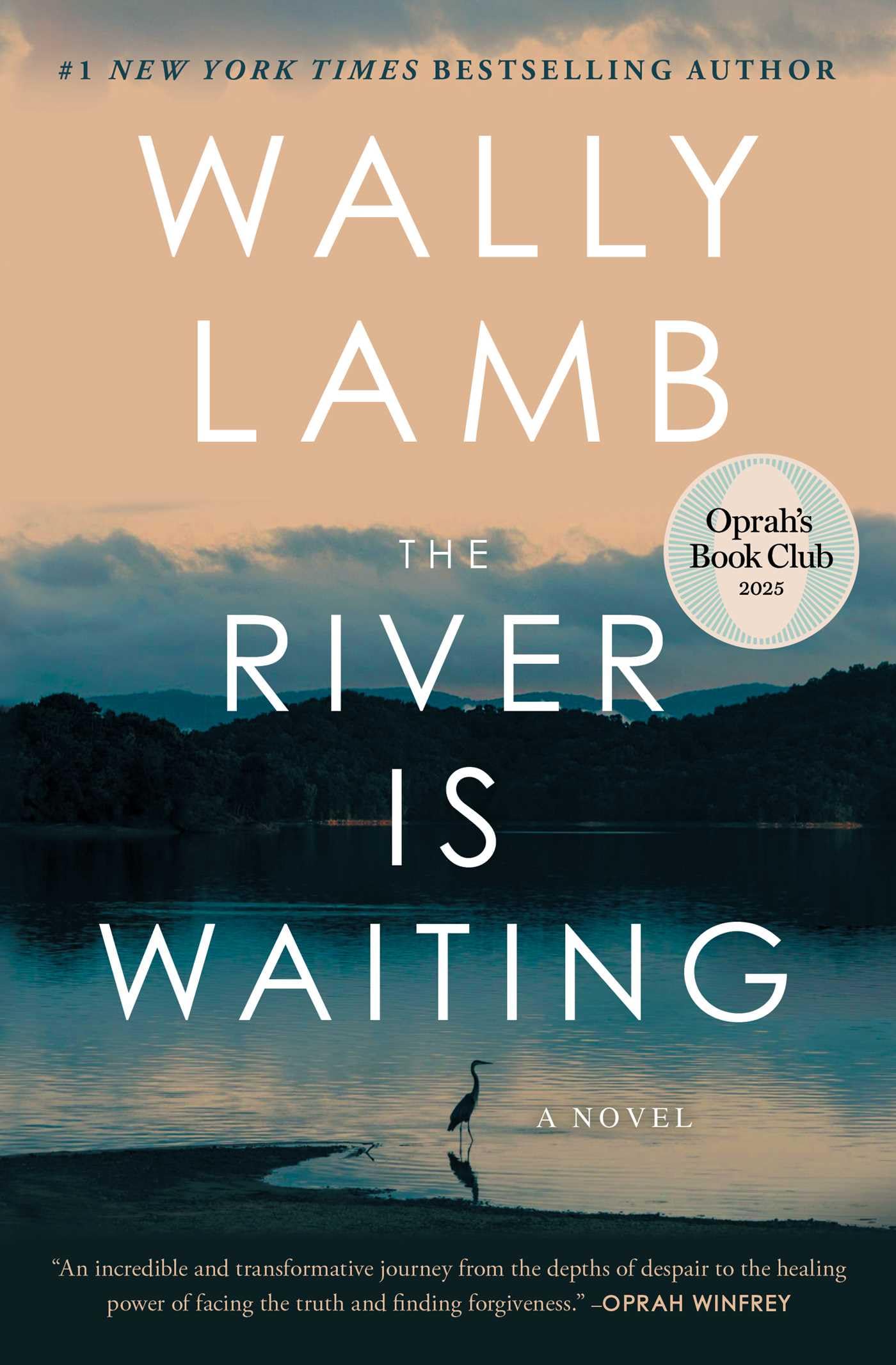 The River Is Waiting (Oprah's Book Club): A Novel 